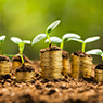 Dividend Policy and Dividends